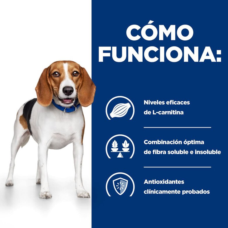 Hill's Prescription Diet Weight Loss r/d Pollo pienso para perros, , large image number null